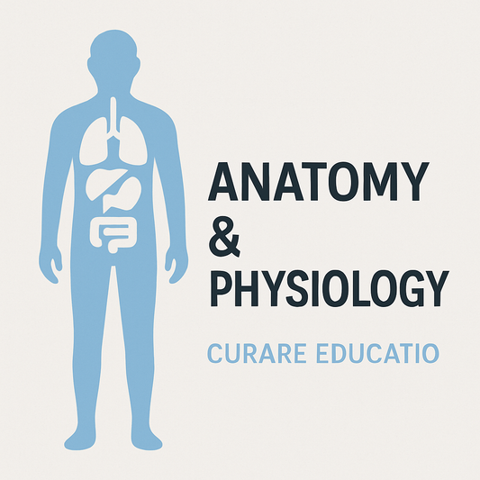 Cursus Anatomie en Fysiologie - English